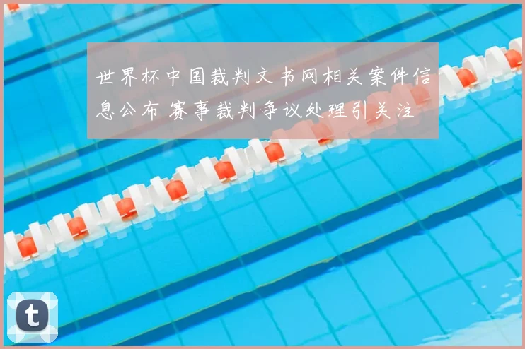 世界杯中国裁判文书网相关案件信息公布 赛事裁判争议处理引关注