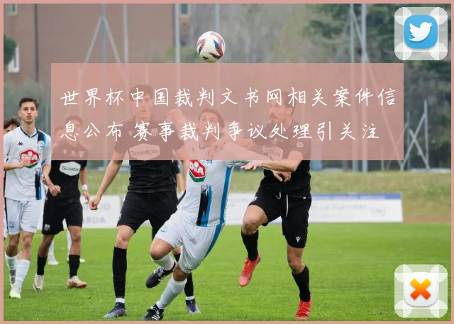 世界杯中国裁判文书网相关案件信息公布 赛事裁判争议处理引关注